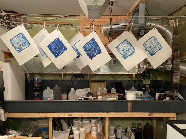 Cyanotype: Wet and Traditional (Live Online)