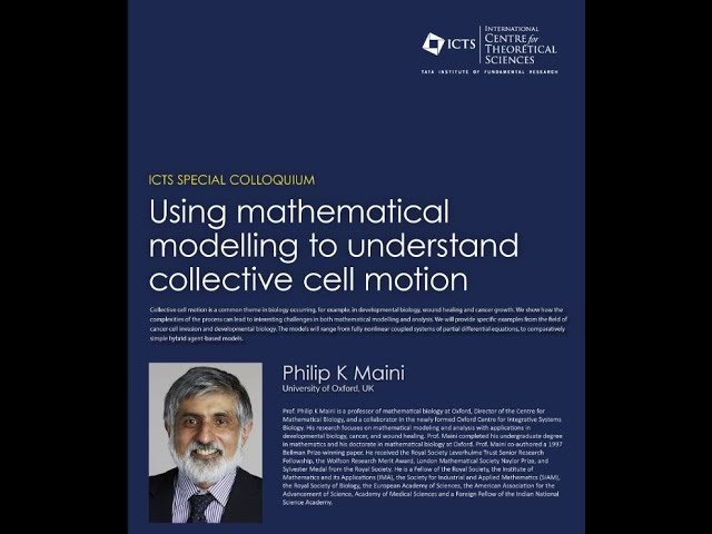 Using Mathematical Modelling to Understand Collective Cell Motion