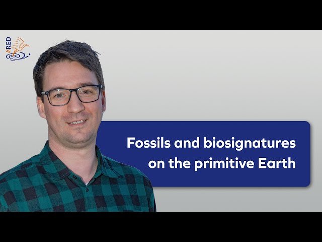 Fossils and Biosignatures on the Primitive Earth