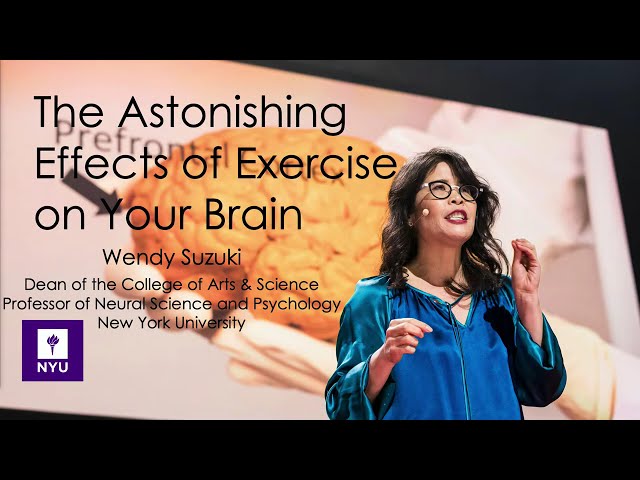 Brain-Boosting Power of Exercise