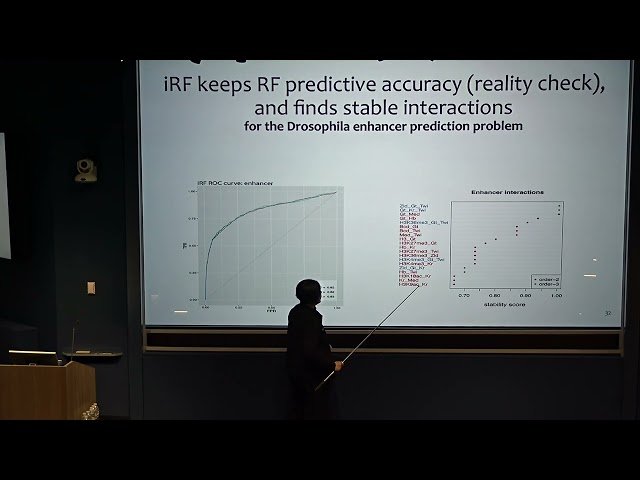 Understanding Deep Learning Models via Interaction Importance