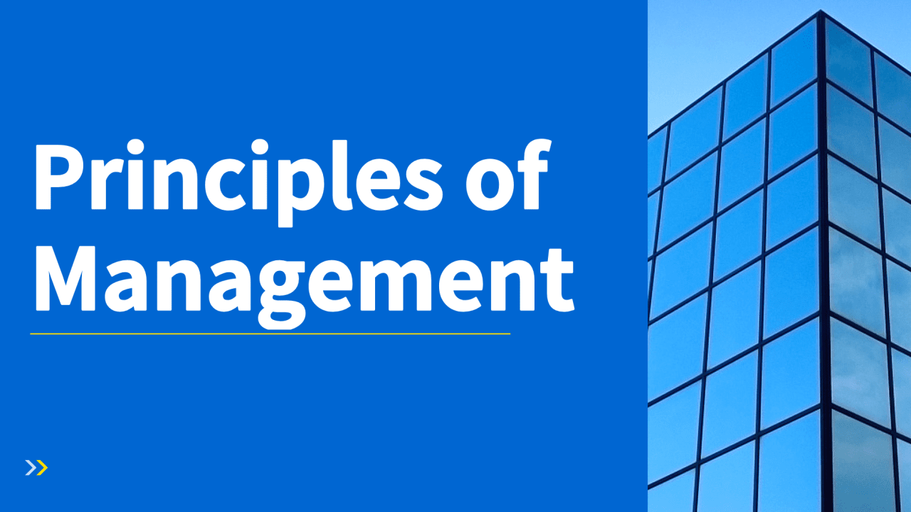 Principles of Management