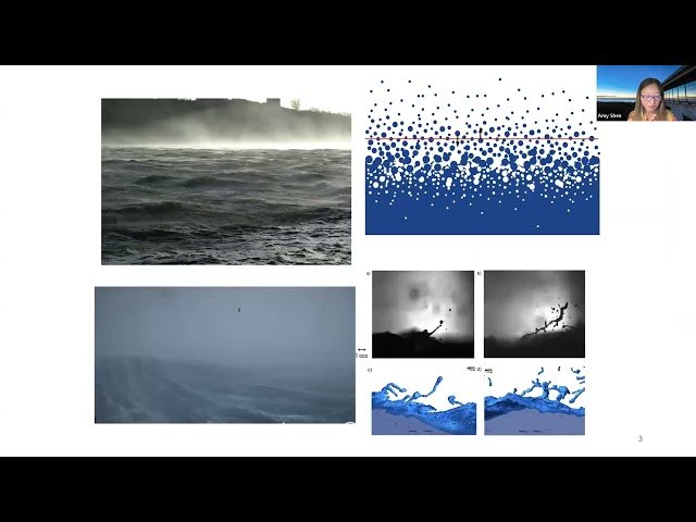 Tropical Cyclones and Climate - Insights from Fluid Dynamics