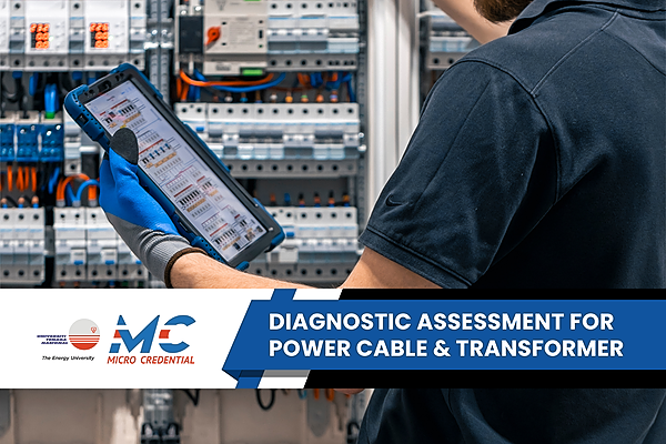 Diagnostic Assessment for Power Cable & Transformer