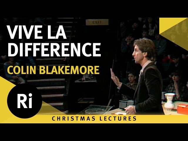 Vive la Difference - How Our Senses Detect Changes and Differences - Lecture 5
