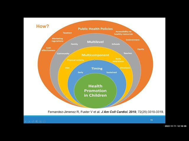 School-Based Health Promotion for Children and Adolescents