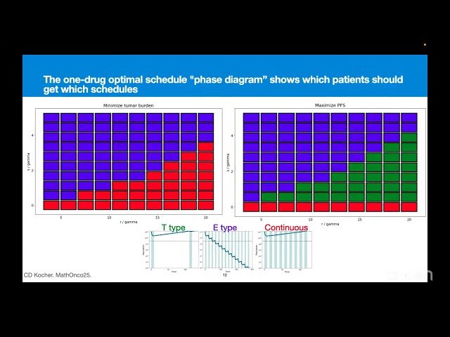 Enumerating Optimal Cancer Treatment Schedules Across Patient Parameter Space