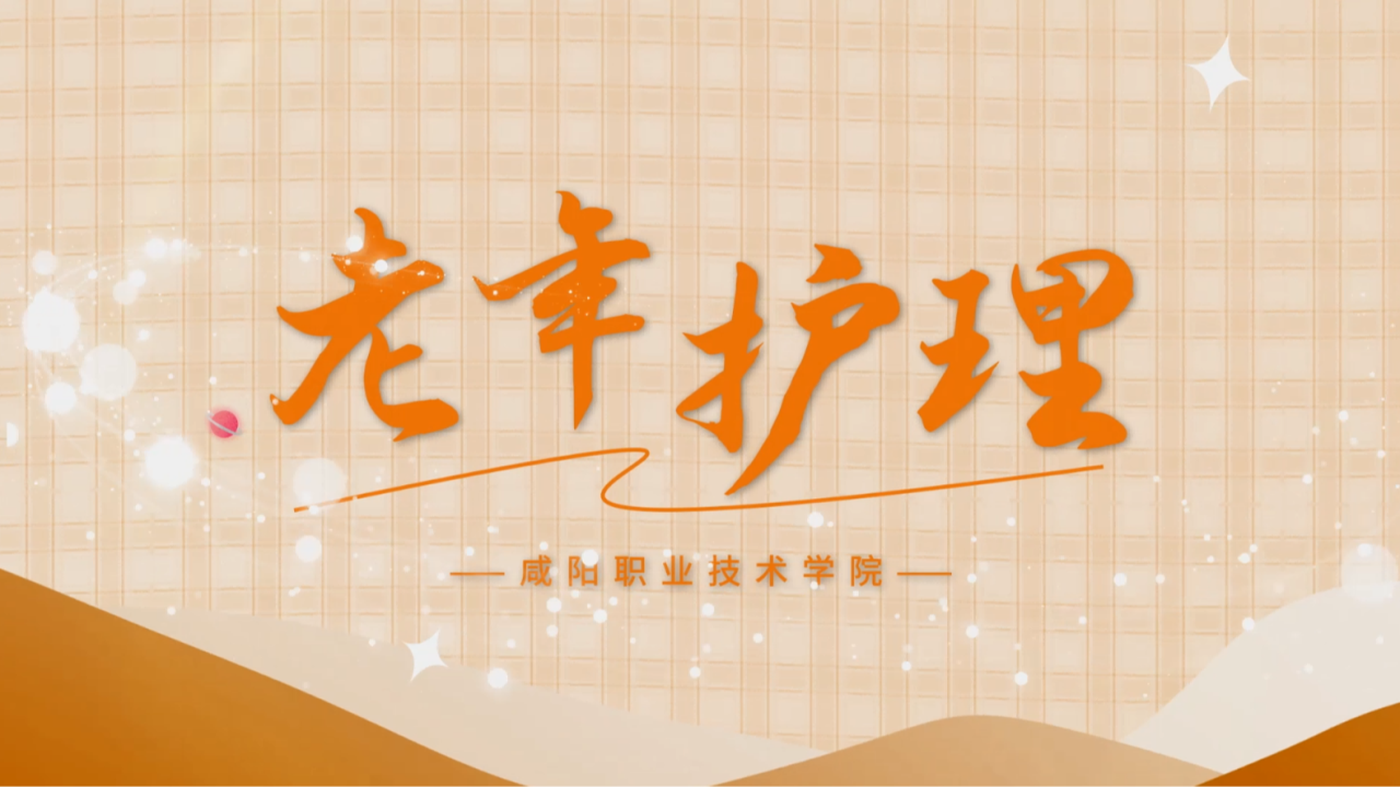 老年护理