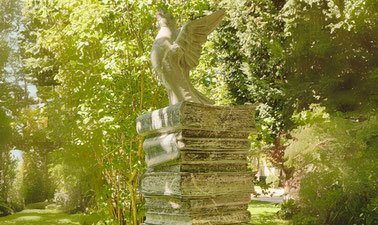 El libro: objeto de estudio, acumulación, comercio y difusión