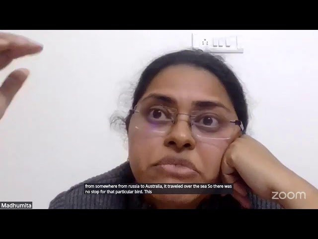 Migration in Population Studies and Demographics