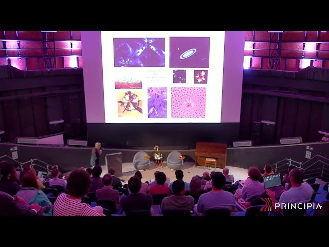 Fundamentals and Applications of Glass Crystallization