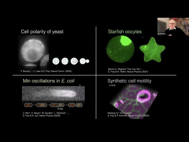 Emergence and Self-Organization in Biological Systems