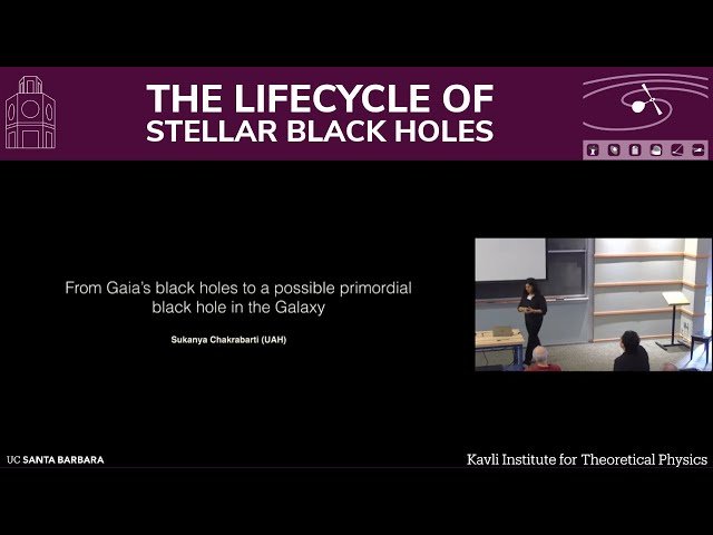 From Gaia's Black Holes to a Possible Primordial Black Hole in the Galaxy