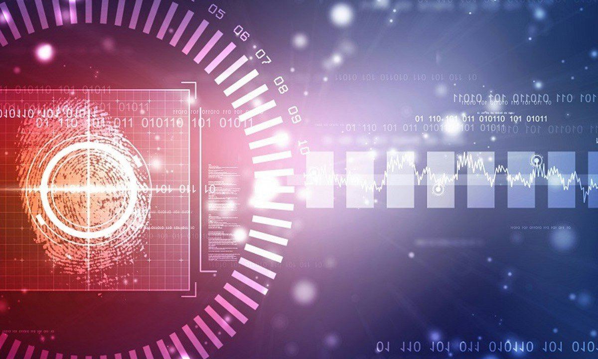 Digital Forensics Essentials: Hands-On Edition