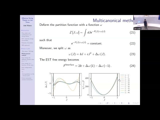 Effective String Theory on the Torus - Day 10