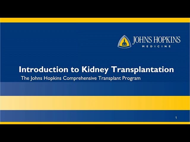 Introduction to Kidney Donation