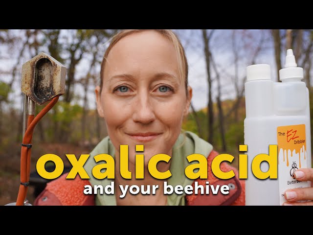 Treating for Varroa Mites in Winter - How to Use Oxalic Acid Strips, Vaporizer and Dribble Method