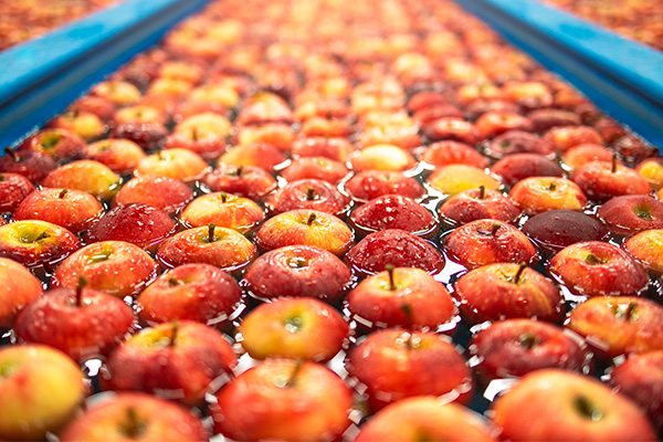 Economia circolare e sistema agroalimentare. Principi e prospettive
