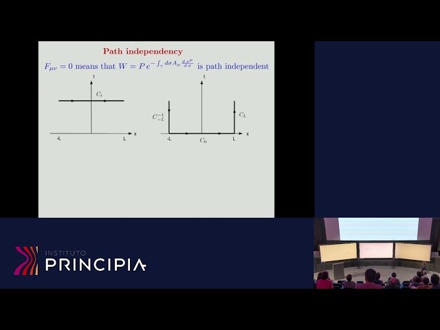 The Hidden Symmetries of Yang-Mills Theory in (3 + 1)-Dimensions