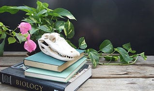 Effective Teaching Strategies for Biology