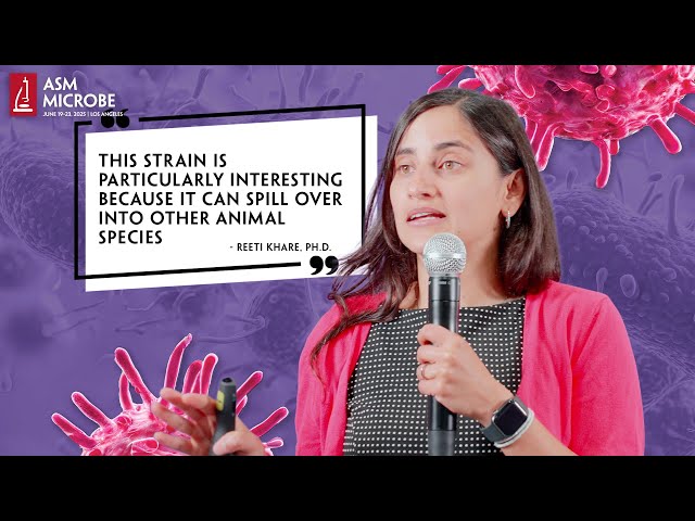 Bird Flu - A 2025 Update on H5N1