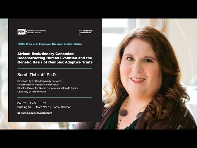 African Evolutionary Genomics - Reconstructing Human Evolution and Complex Adaptive Traits