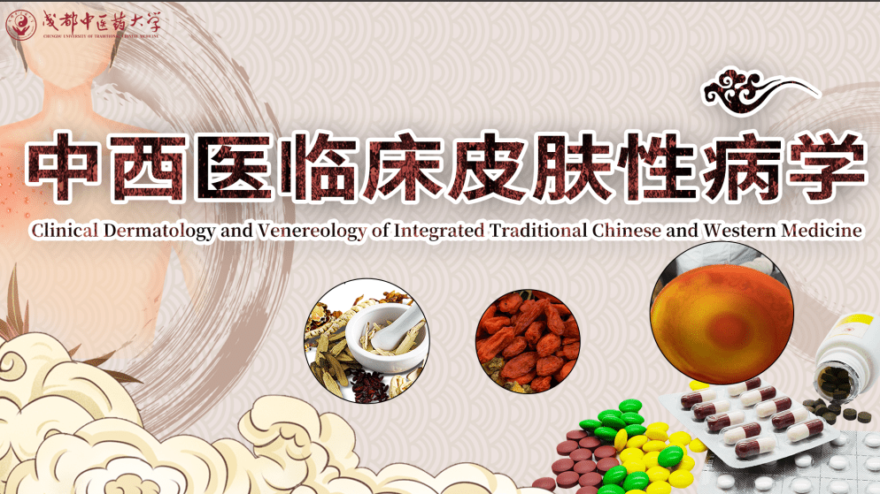 Clinical Dermatology and Venereology of Integrated Traditional Chinese and Western Medicine