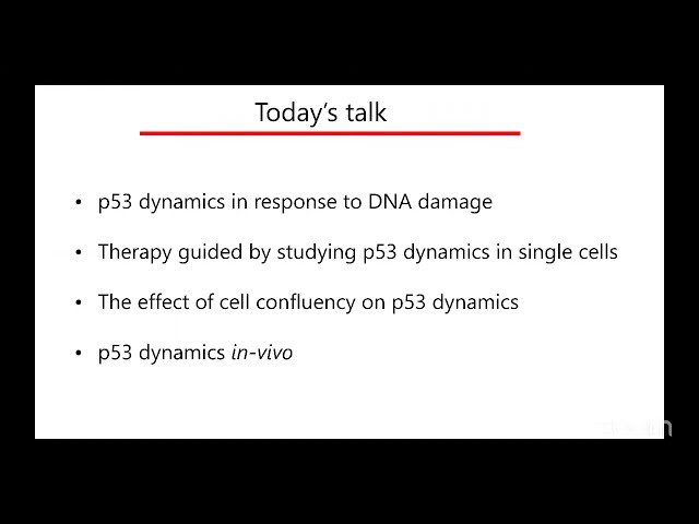 Information Transfer through Protein Dynamics
