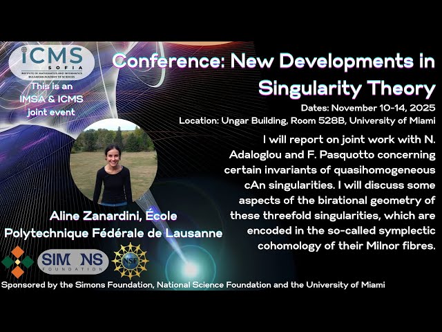 cAn Singularities Revisited