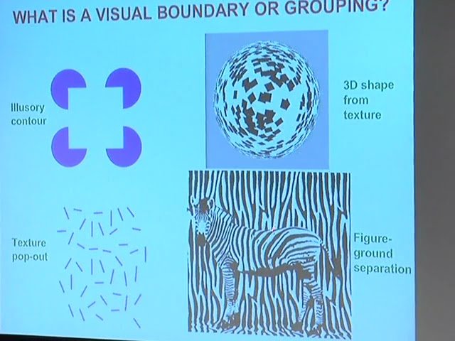 Neural Dynamics of Attentive Object Recognition, Scene Understanding, and Decision Making