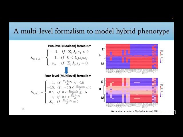 Design Principles of Gene Regulatory Networks Underlying Cancer Phenotypic Plasticity
