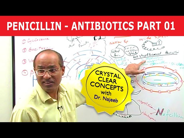 Penicillin - Antibiotics