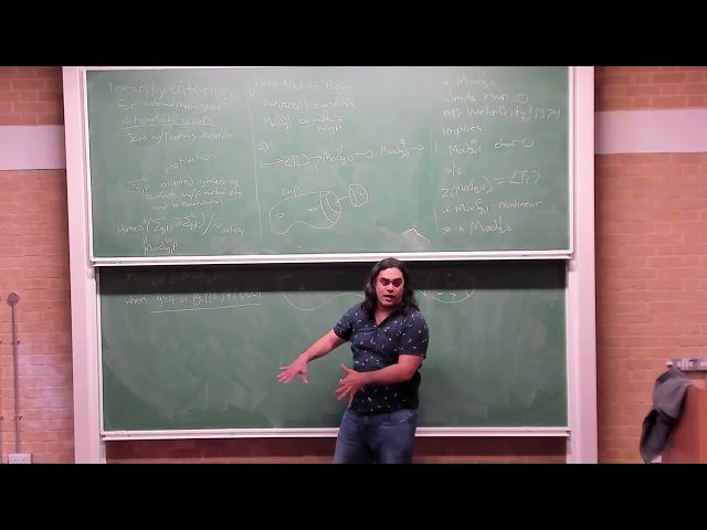 Linearity Criteria for Automorphism Groups of Hyperbolic Groups