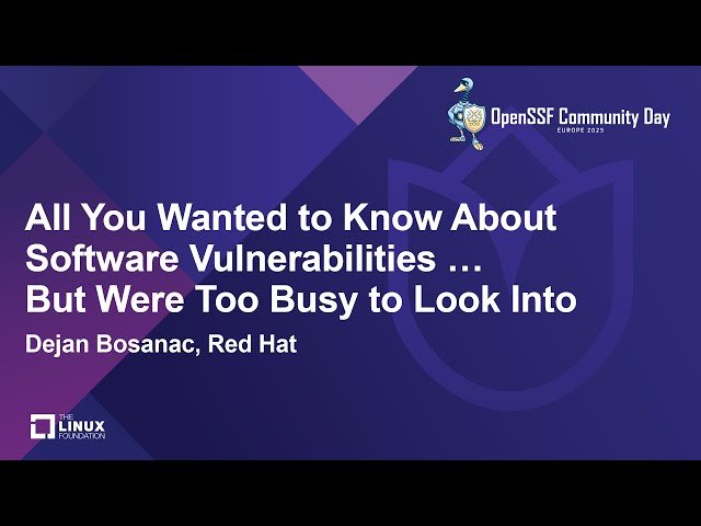 All You Wanted to Know About Software Vulnerabilities But Were Too Busy to Look Into