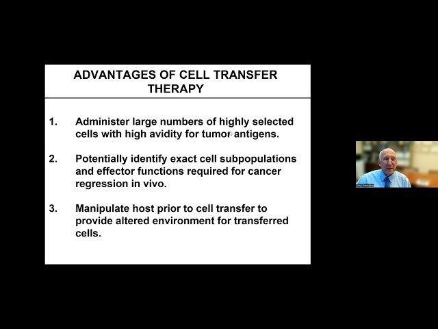 Lymphocytes as a Living Drug for the Treatment of Cancer