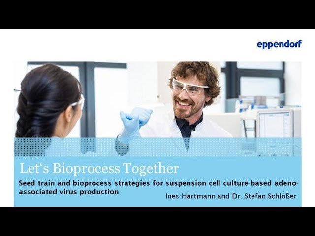 Seed Train and Bioprocess Strategies for Suspension Cell Culture-Based Adeno-Associated Virus Production