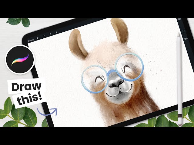 Free Video: How to Draw a Watercolor Llama - Procreate Tutorial from ...