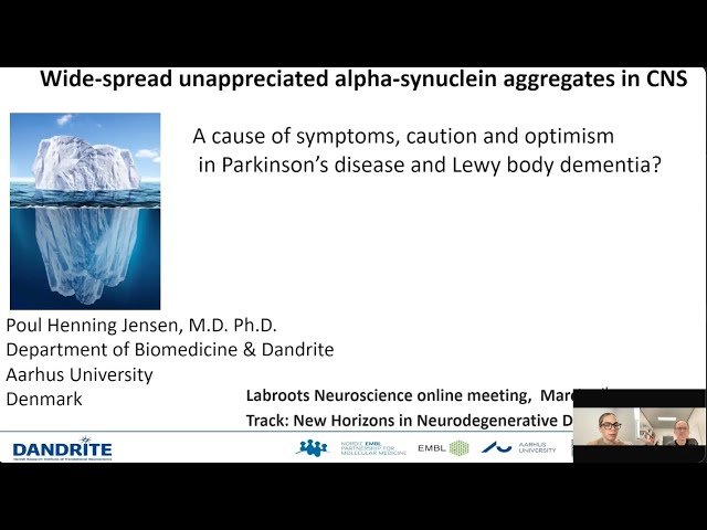 Wide-Spread Unappreciated Alpha-Synuclein Aggregates in CNS - a Cause of Symptoms, Caution and Optimism in Parkinson's Disease and Lewy Body Dementia