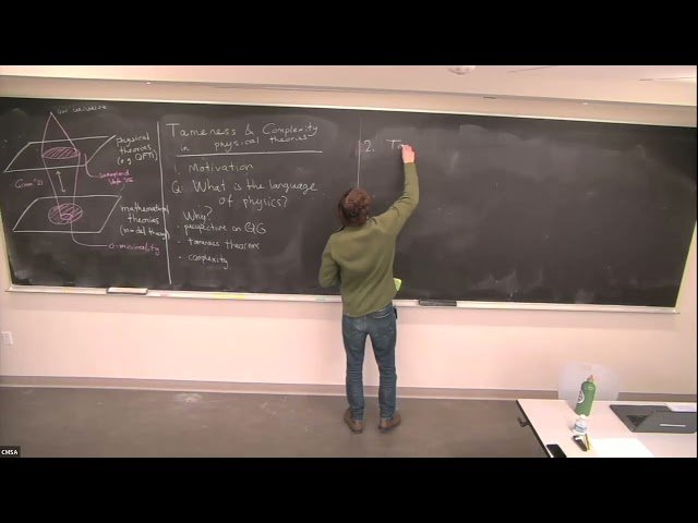 Tameness and Complexity in Physical Theories