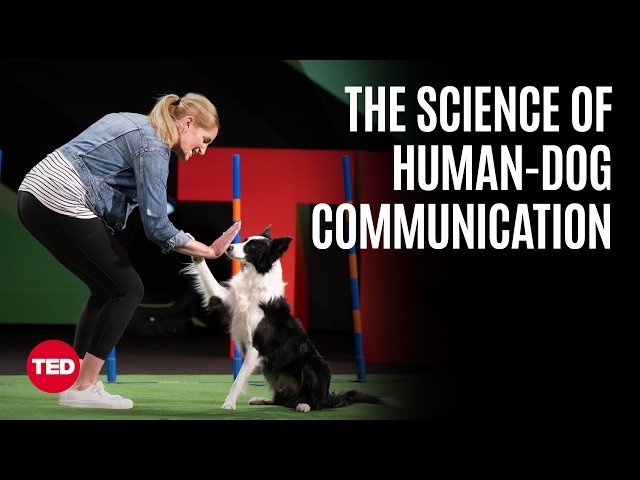 How to Communicate with Your Dog - From a Westminster Champion