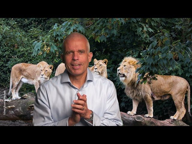 Network Like a Pro - Unleash Your Inner 'Friendly Brontosaurus' - Job Searching with Purpose