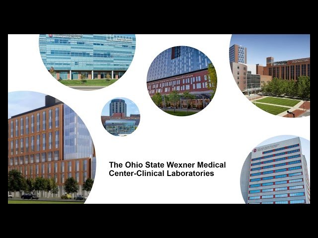 Translating Global Indicators into Local Impact - Benchmarking and Root Cause Analysis in a Multi-Lab Health System