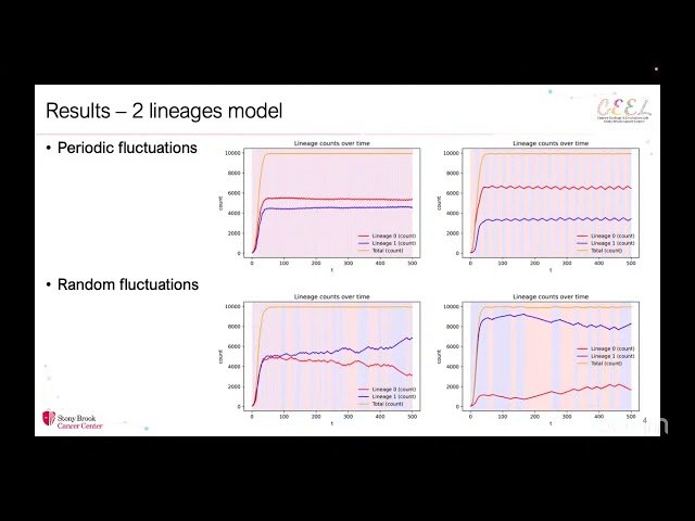 Microenvironmental Fluctuations Select between Storage-Effect and Plasticity-Driven Intratumor Heterogeneity