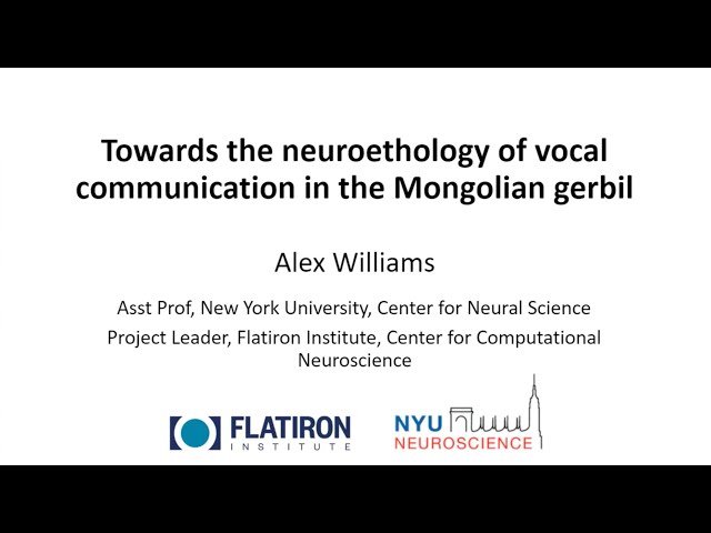 Towards the Neuroethology of Vocal Communication in the Mongolian Gerbil