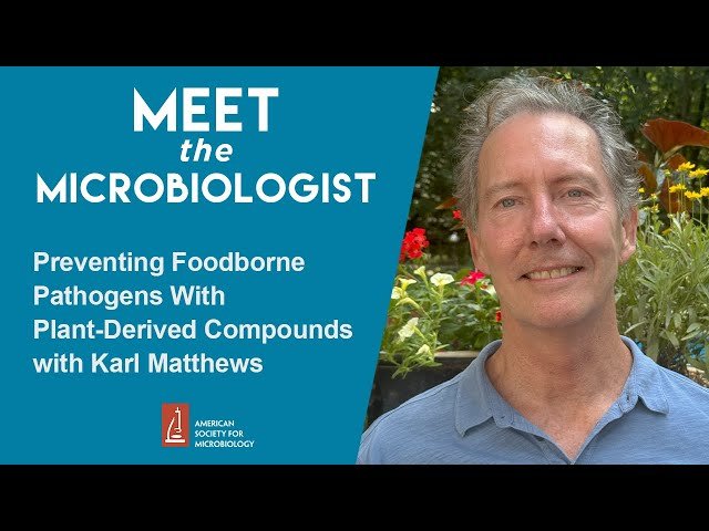 Preventing Foodborne Pathogens With Plant-Derived Compounds