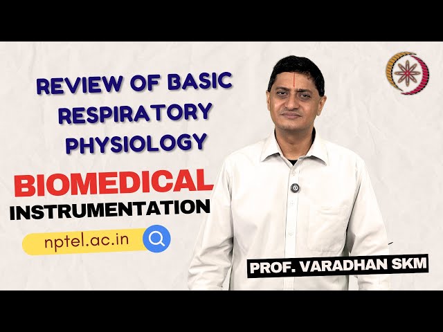 Review of Basic Respiratory Physiology