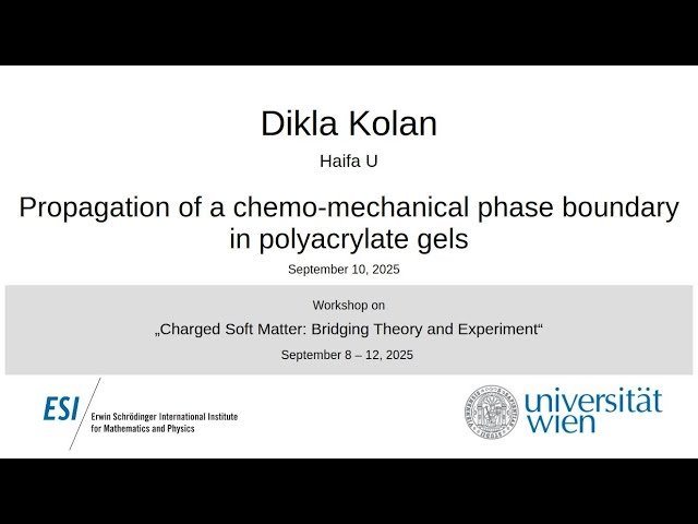 Propagation of a Chemo-Mechanical Phase Boundary in Polyacrylate Gels