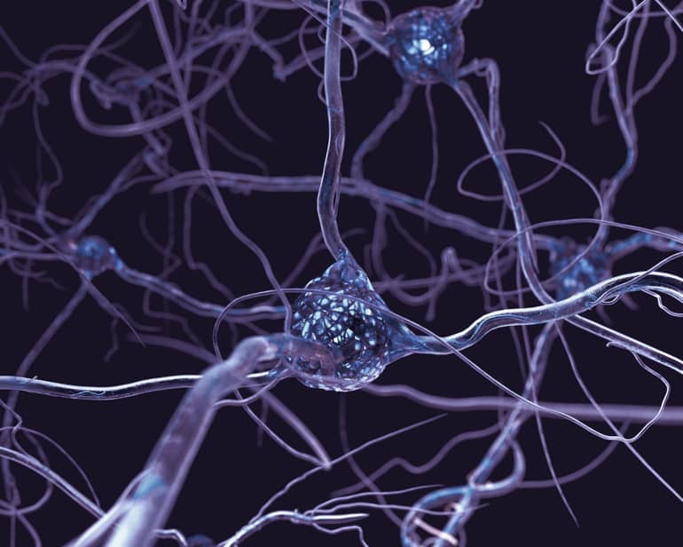 Neuroscience for Business