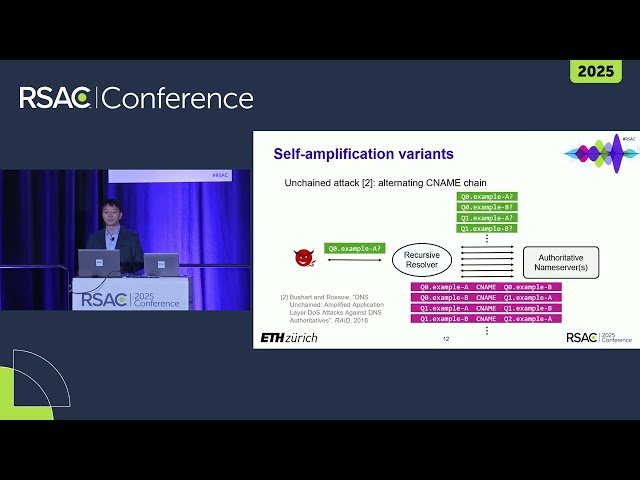 DNS DoS - Recent Vulnerabilities and Modern Defenses