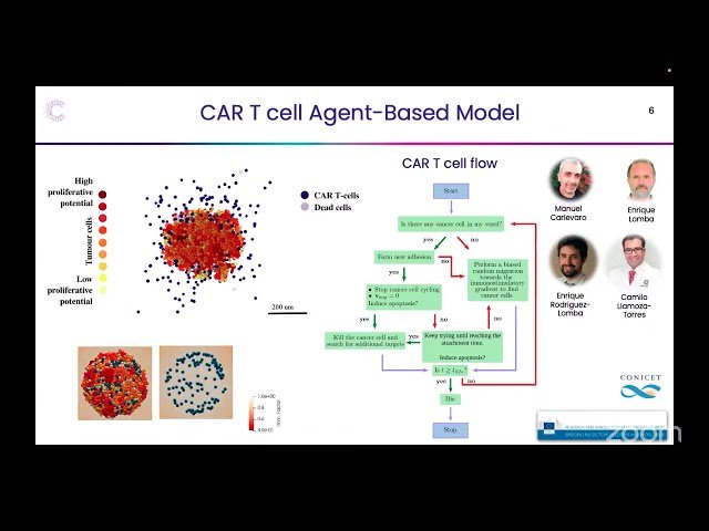 A Tissue-Aware Digital-Twin Platform for CAR T Cell Dosimetry